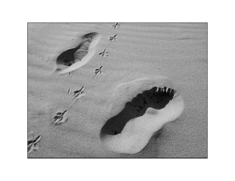 Footprints_bw.jpg